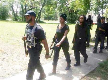 Are Black People Carrying Guns Public Enemy