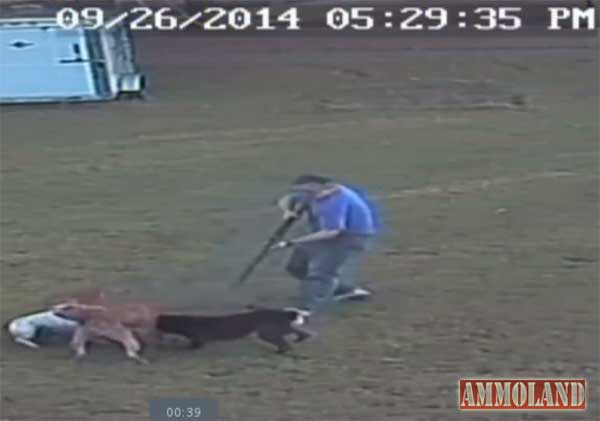 MIBS shooting attacking dog about six seconds later.   Time stamp 5:29:35.  TV video 0:39.  Camera 1