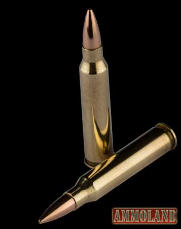 Eagle Eye .223 REM 69gr HPBT Eagle Eye .223 REM 69gr HPBT