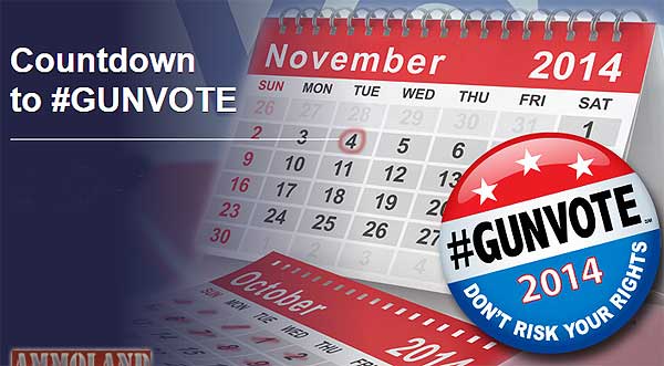 Gun Vote Countdown