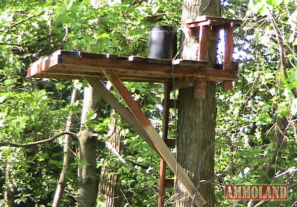 How To Build A Simple Permanent Treestand For Hunting
