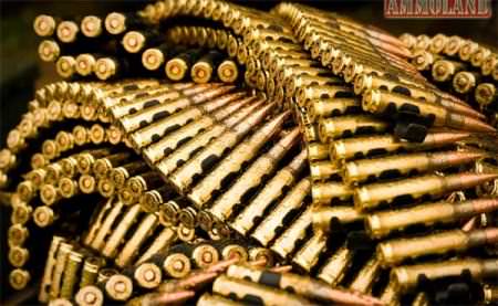 223 Ammo Ammuntion Brass