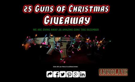 25 Guns of Christmas Giveaway