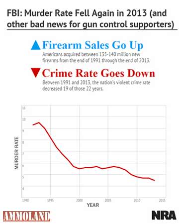 FBI Murder Rates 2013