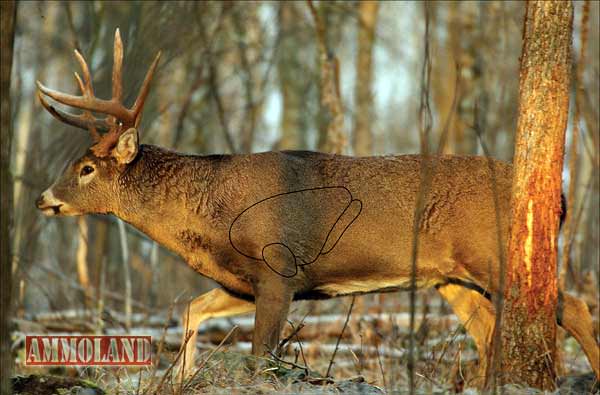 Deer Hunting Opportunities Available in Ohio