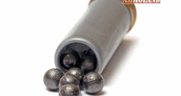 Lead Ammo Ammunition