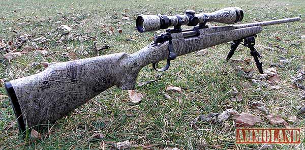 My Remington model 700 in .22-250 caliber with the Mossy Oak marsh grass wrap.