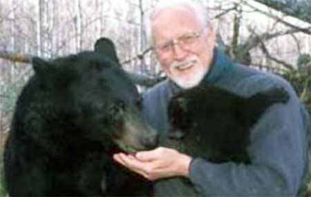 Socalled biologist Lynn Rogers hand feeding wild bears