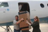 14 Juvenile Whooping Cranes Being Delivered