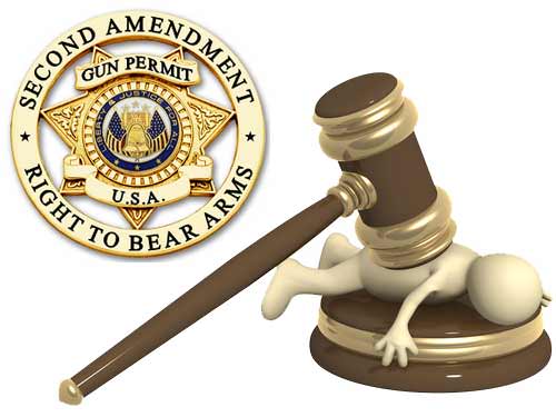 Second Amendment Bring Down the Gavel Lawsuit