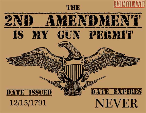 Second Amendment Gun Permit