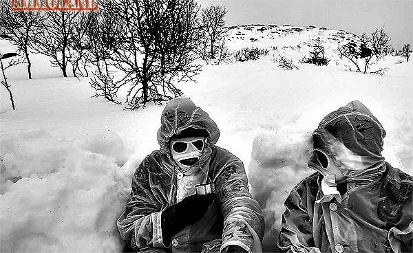 Cold Survival