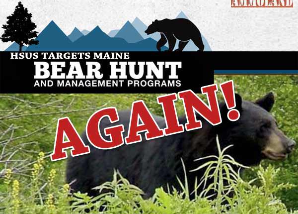 The radicals at HSUS are making it crystal clear that they do not respect the will of the Maine voters – who have twice sent HSUS and their allies packing with resounding defeats on the SAME issue... HSUS Declares Maine Bear Hunting a Target in 2016