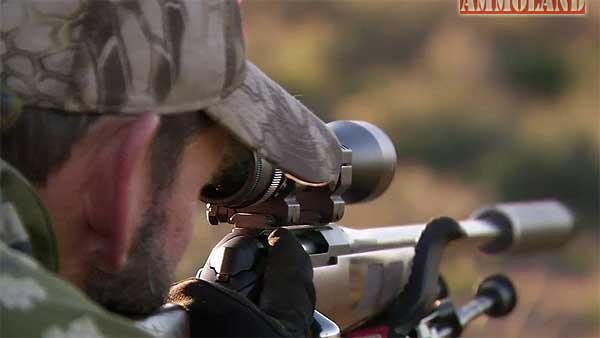 Hunting with Suppressor