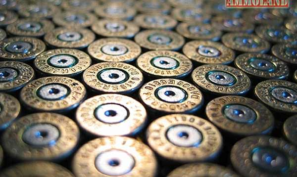 12 gauge shotgun shells