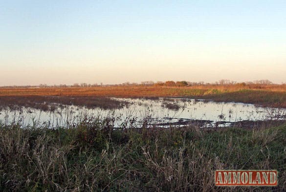 Chichaqua Bottoms Greenbelt in Iowa