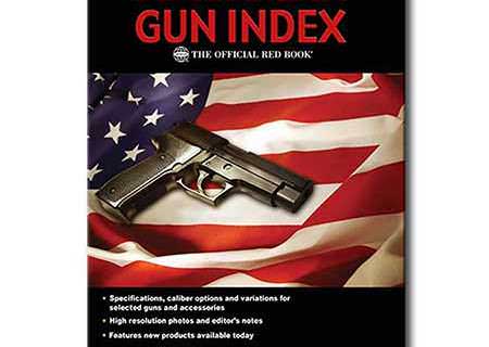 American Gun Index