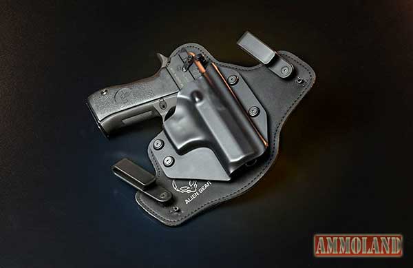 Eagle Reflections Carry Holster