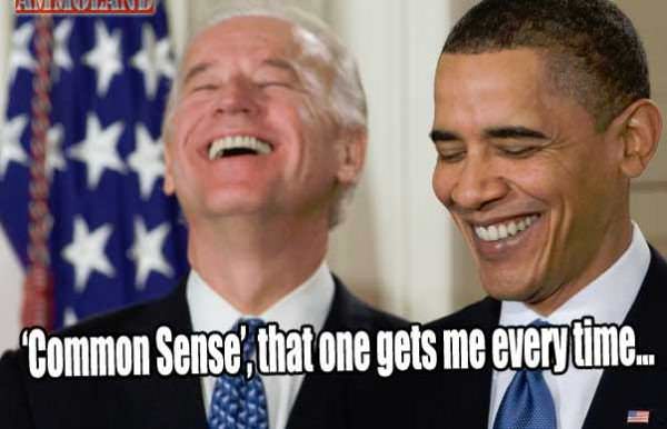 Obama Biden Common Sense