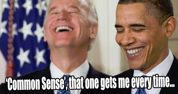 Obama Biden Common Sense