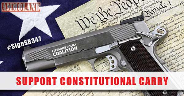 Support Constitutional Carry