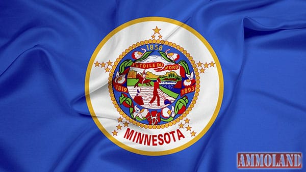 Minnesota State Flag