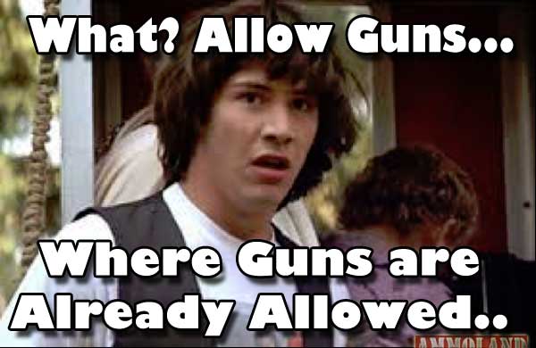 What Allow Guns