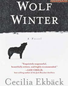 Wolf Winter by Cecilia Ekback