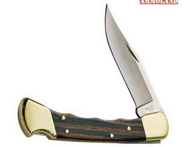 Buck Folding Hunter Pocket Knife