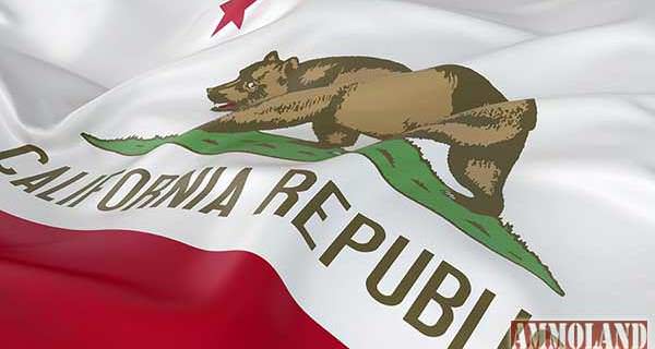 California State Flag