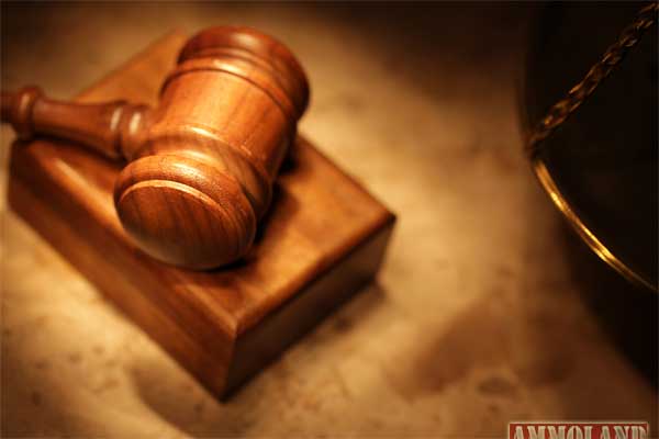 Connecticut Citizens Defense League to Appeal 2nd Circuit Ruling in Shew v Malloy Court Gavel