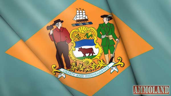 Delaware Hearing for Legislation that Violates Due Process Postponed