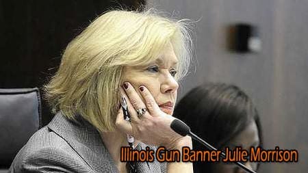 Illinois State Senator Julie Morrison