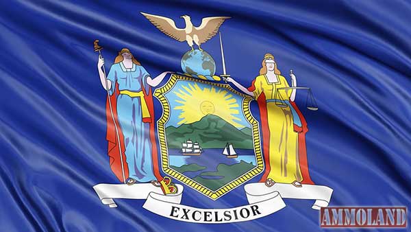 New York Flag