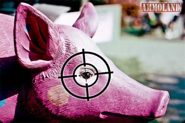 The pig's eye test is based upon a post-war military study that demonstrated that a velocity of 214 feet per second was necessary to incapacitate a person. Pig's Eye Test