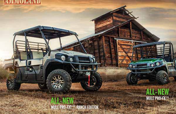 Kawasaki Mule Side by Side