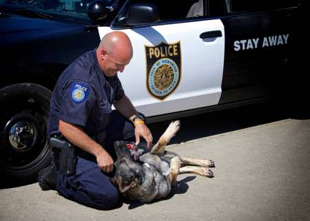 SPK9 - Officer Randy Van Dusen and Bodie