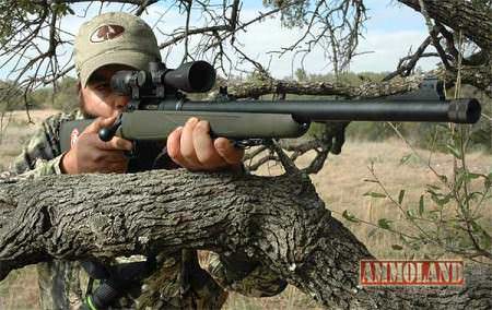 Savage Arms Model 11 Hog Hunter in .338 Federal