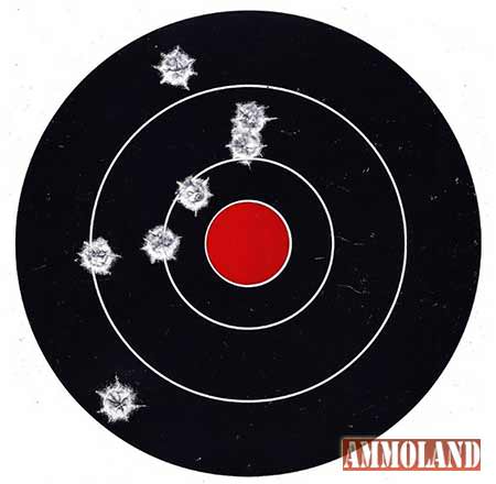 Seven-shot group at 100 yards with 270 gr. Trophy Copper MZ bullets