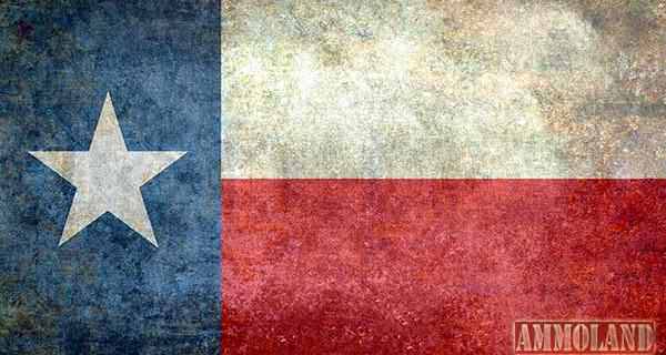 Texas Flag