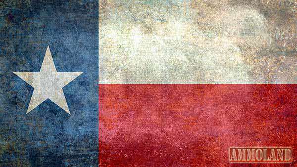 Texas Flag