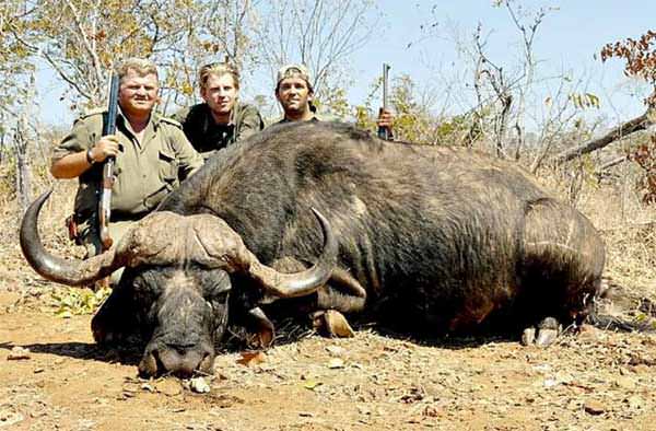 Successful hunters, Donald Trump Jr., and Eric Trump pose for a picture with a Cape Buffalo in Africa.