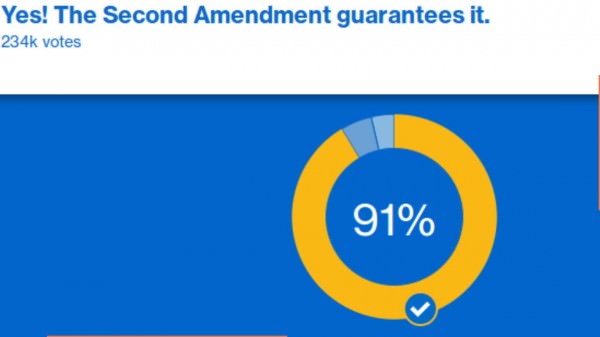 Poll MSNBC Public Carry