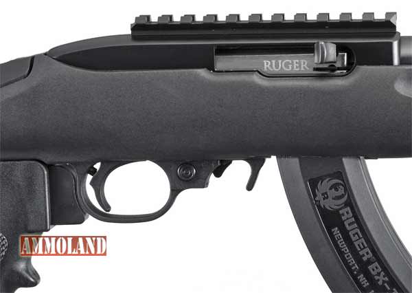 Ruger Polymer Stock Ruger 22 Charger Pistol