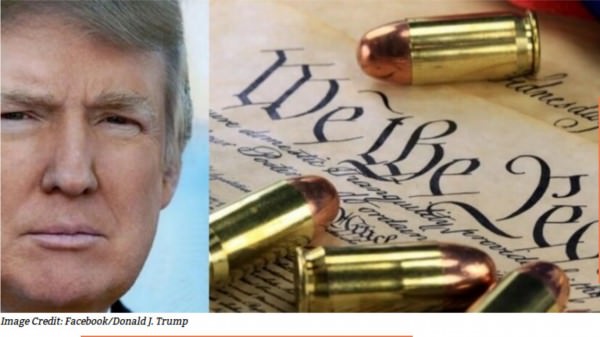 Donald Trump Second Amendment