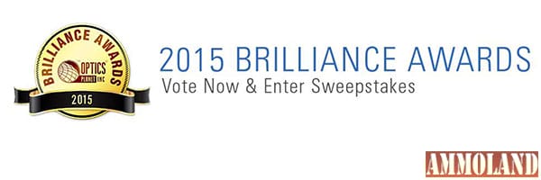 2015 Brilliance Awards