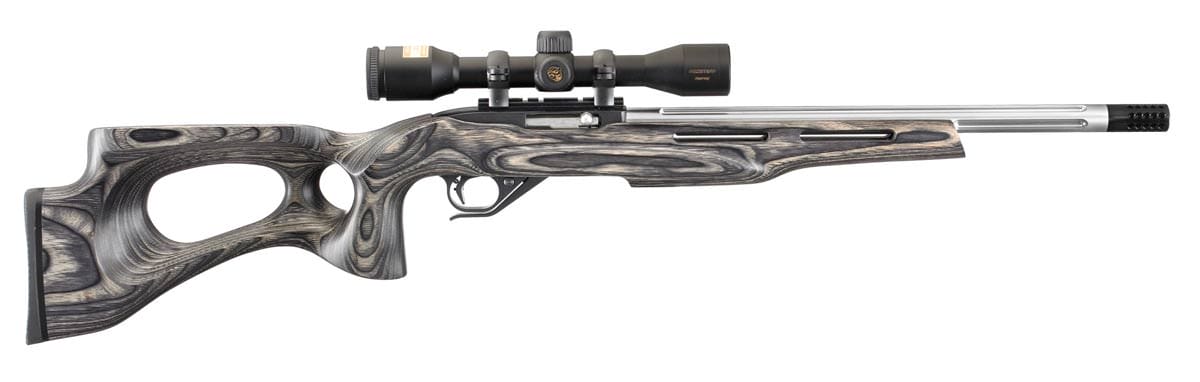 stock ruger 10 22