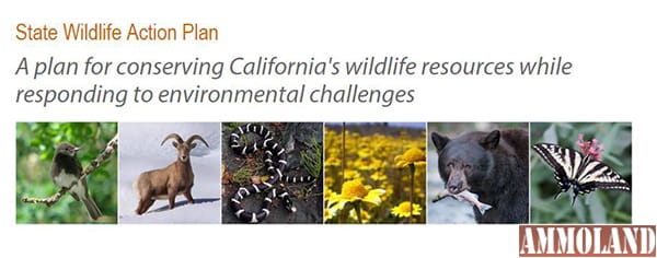 California State Wildlife Action Plan