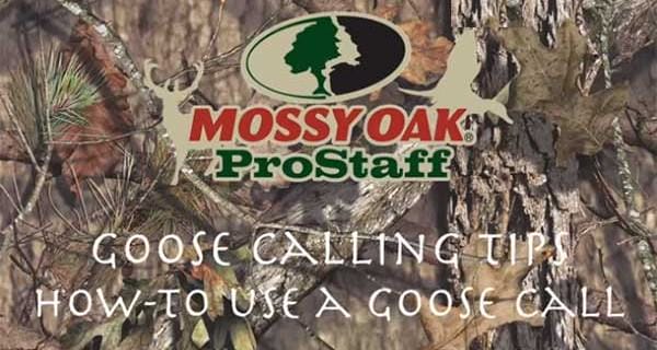 Goose Calling Tips from Mossy Oak Pro Staff Cory Dukehart ~ Video