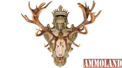 LOT 1329 - Massive and Magnificent European Red Stag Wall Mount From King Frederick William III Accompanied by Mid-19th Century Military Themed Items